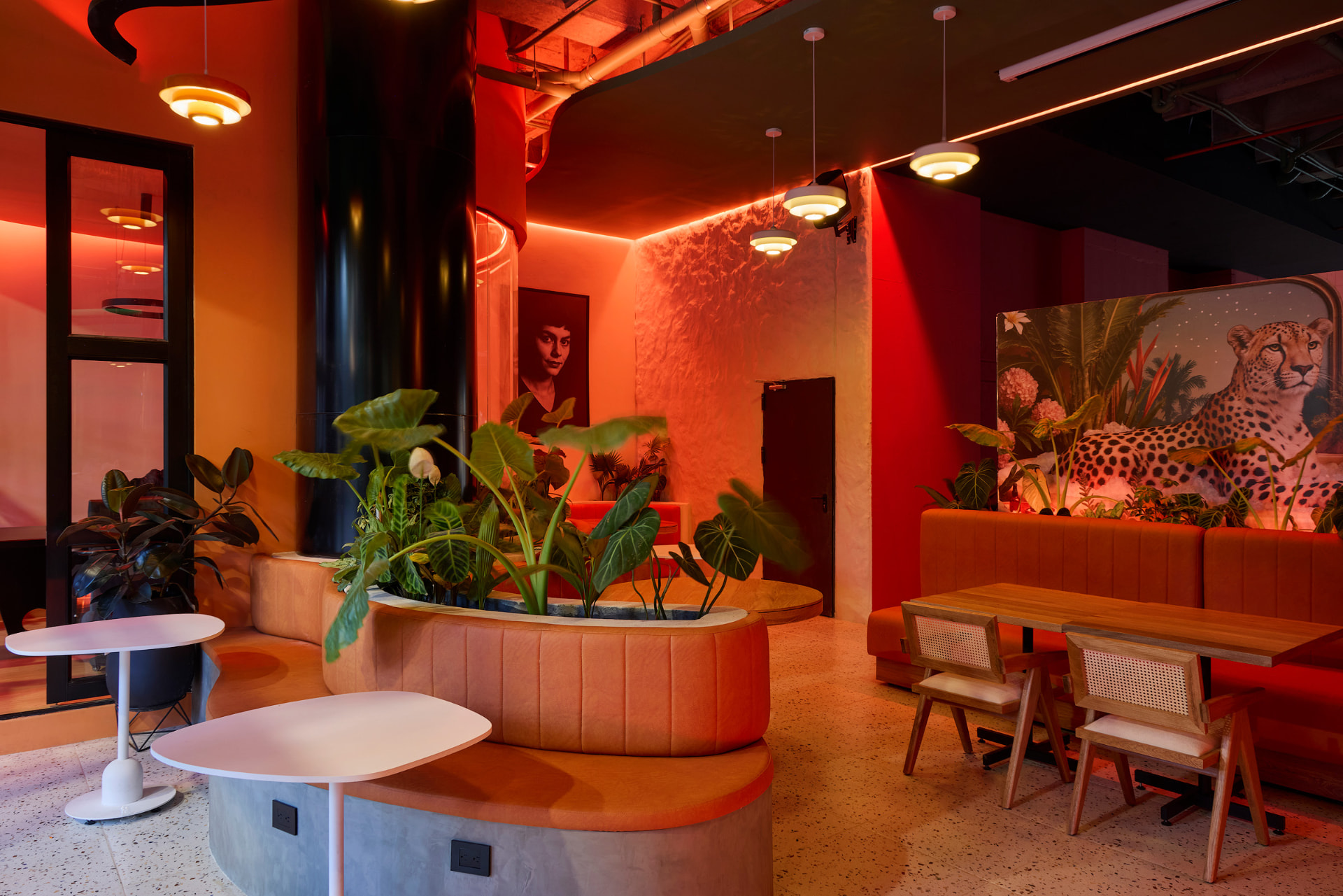 Amelier Café, vista 2